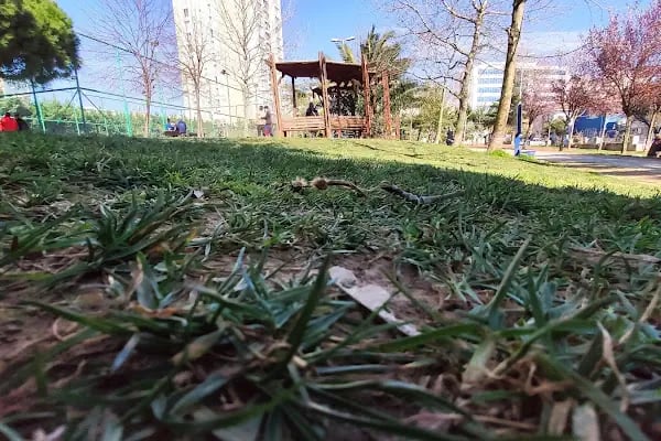 Meskenler Parkı - Resim 13
