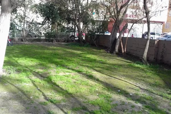Birecik Sehir Kulubu - Resim 5