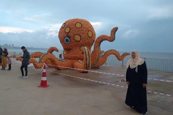 Balıkçı Şükrü - Resim 15