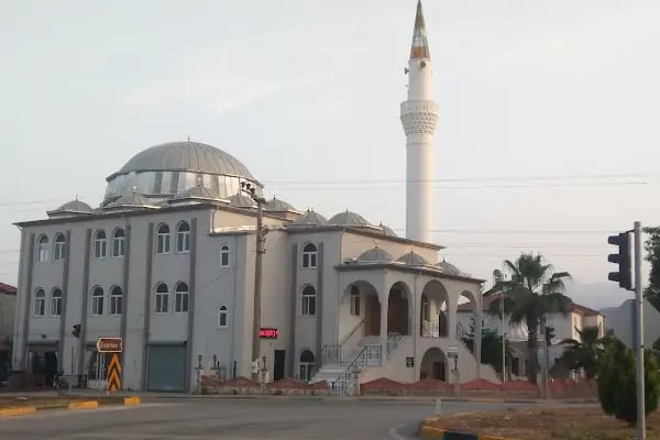 Düzlerçamı Cami - Resim 2