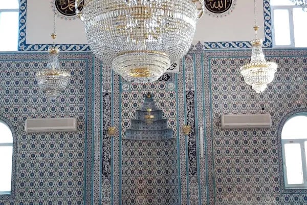 Düzlerçamı Cami - Resim 15