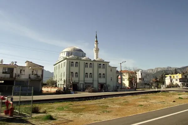 Düzlerçamı Cami - Resim 9