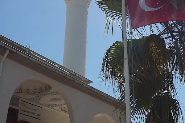 Düzlerçamı Cami - Resim 10