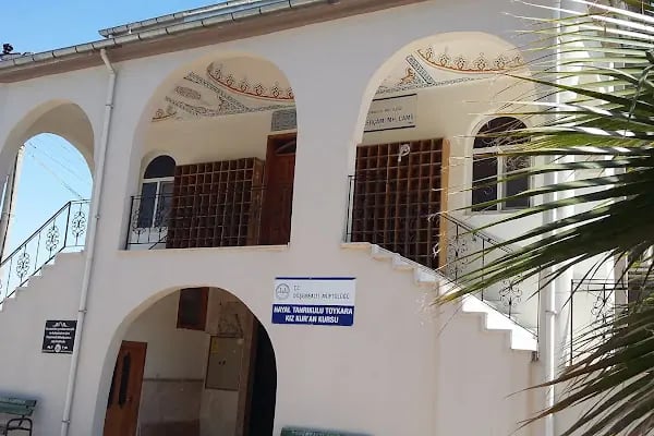 Düzlerçamı Cami - Resim 5