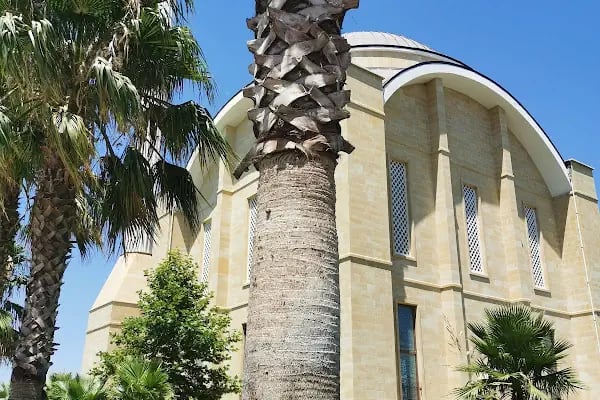 Develili İbrahim Buğday Camii - Resim 6