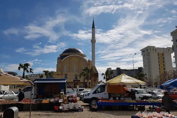 Develili İbrahim Buğday Camii - Resim 8