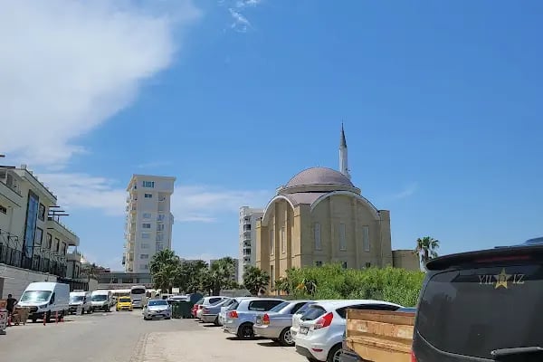 Develili İbrahim Buğday Camii - Resim 9