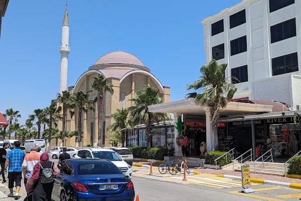 Develili İbrahim Buğday Camii - Resim 15