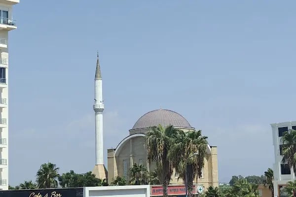 Develili İbrahim Buğday Camii - Resim 11
