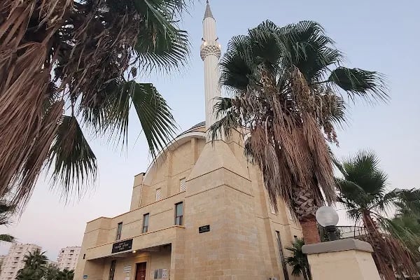 Develili İbrahim Buğday Camii - Resim 19