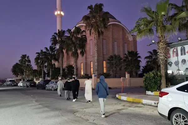Develili İbrahim Buğday Camii - Resim 16