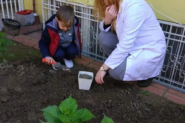 Bursa Afacan Anaokulu _ Kreş ve Gündüz Bakım Evi - Resim 6