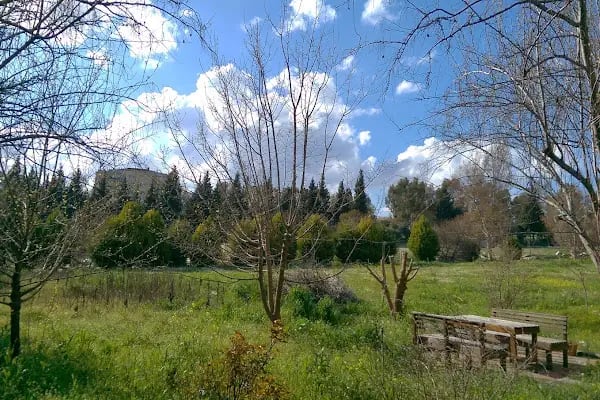 Buca Ötüken Dinlenme Alanı - Resim 3