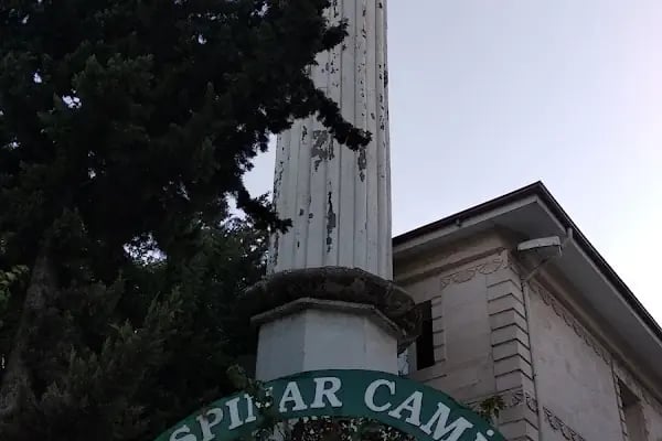 Başpınar Cami - Resim 1