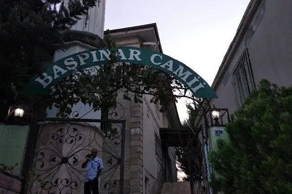 Başpınar Cami - Resim 3