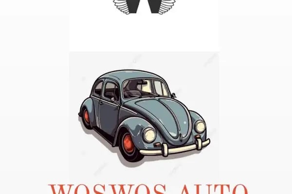 Woswos Detailing - Resim 7