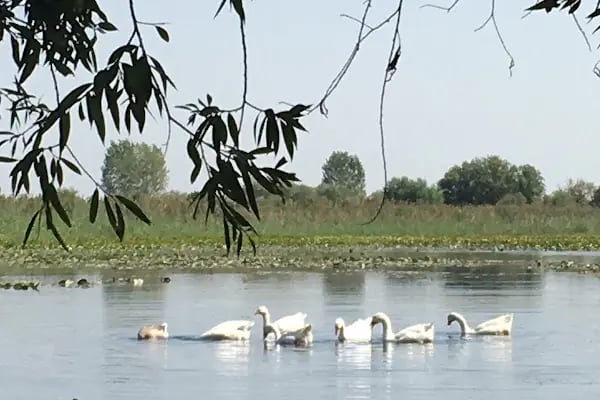 Kırkgöz Han Kervansaray - Resim 5