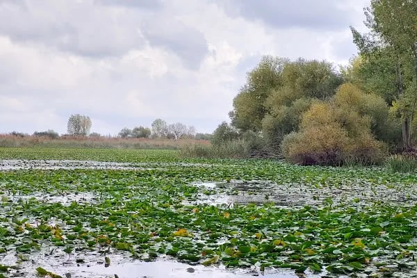 Kırkgöz Han Kervansaray - Resim 15