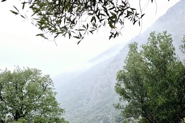 Kırkgöz Han Kervansaray - Resim 13