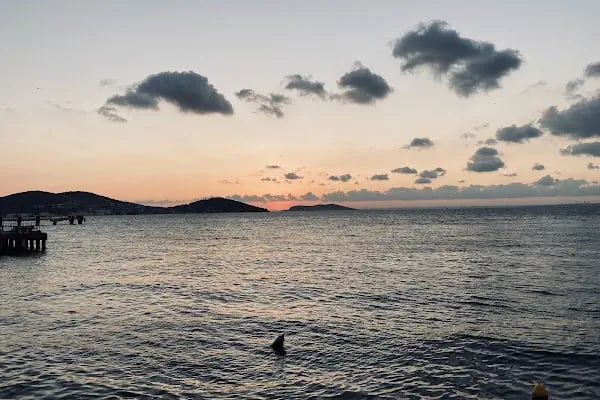 Vitavien | Büyükada - Resim 20
