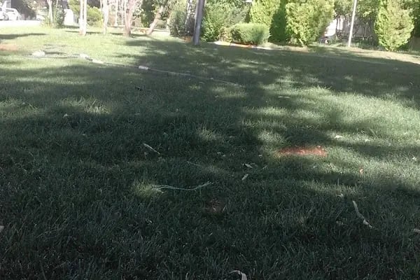 Kazancı Bedih Parkı - Resim 12