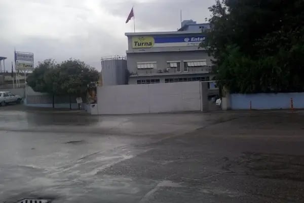 TURNA YAĞ(SAYINLAR GIDA MAD. SAN. ve TİC. A.Ş.) - Resim 2