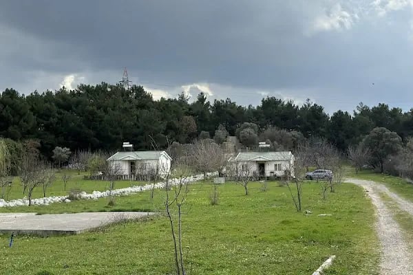 Ciceklikoy - Resim 8