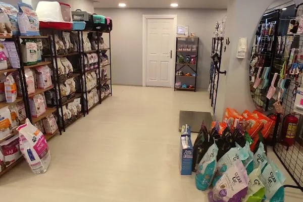 Leravet Veteriner Kliniği 7/24 ACİL BAHÇELİEVLER - Resim 12