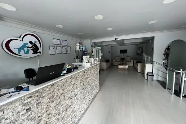 Leravet Veteriner Kliniği 7/24 ACİL BAHÇELİEVLER - Resim 15