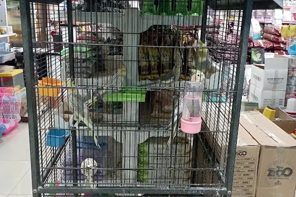 THE PET SHOP - Resim 13