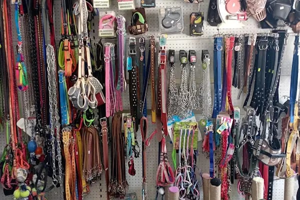 THE PET SHOP - Resim 6