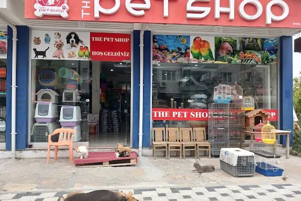 THE PET SHOP - Resim 19