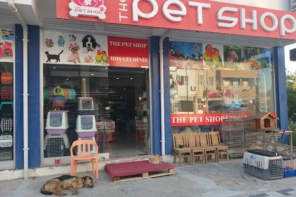 THE PET SHOP - Resim 20