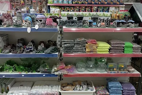 THE PET SHOP - Resim 11