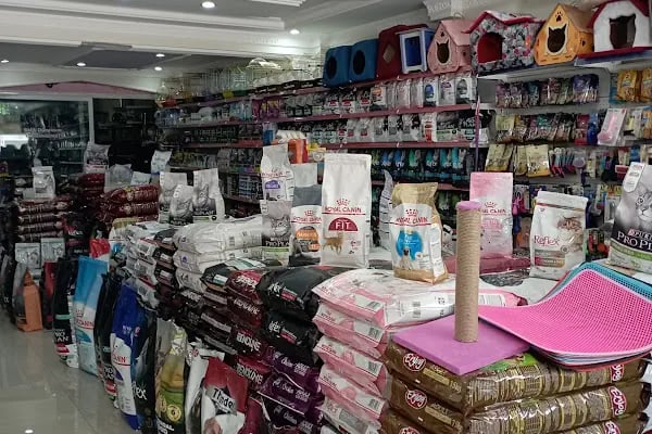 THE PET SHOP - Resim 3