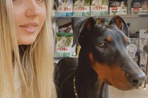 PetLife Veteriner Kliniği - Resim 13