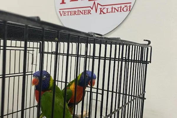 PetLife Veteriner Kliniği - Resim 20