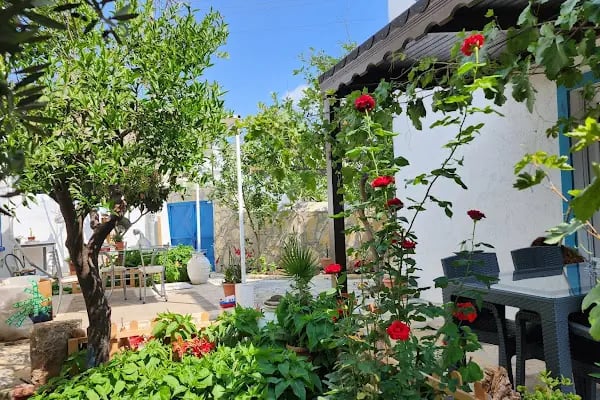 Alpi Apart Bodrum - Resim 1