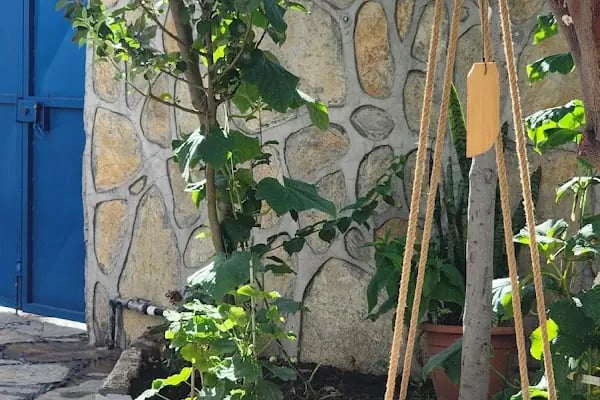 Alpi Apart Bodrum - Resim 8