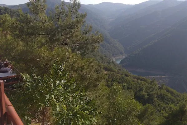 İzmir Ticaret Odası Hatıra Ormanı - Resim 20