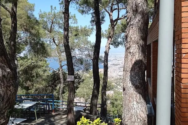 İzmir Ticaret Odası Hatıra Ormanı - Resim 10