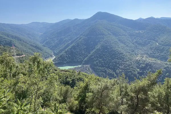 İzmir Ticaret Odası Hatıra Ormanı - Resim 5