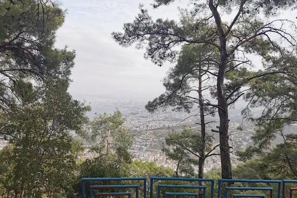 İzmir Ticaret Odası Hatıra Ormanı - Resim 13