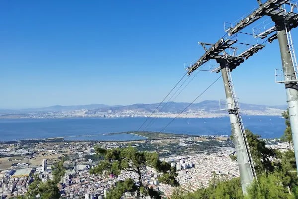 İzmir Ticaret Odası Hatıra Ormanı - Resim 3
