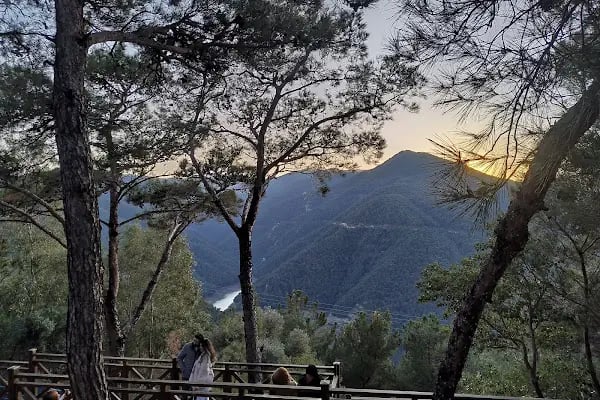 İzmir Ticaret Odası Hatıra Ormanı - Resim 14