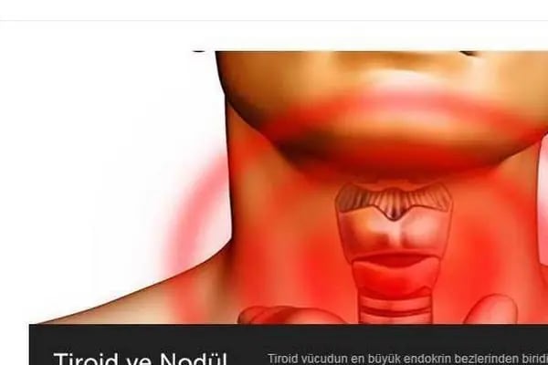 Prof. Dr. Muammer Karadeniz Endokrinoloji ve Metabolizma Hastalıkları Uzmanı - Resim 4