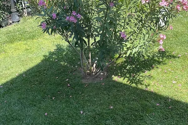 Edirneliler 7 Sitesi - Resim 3