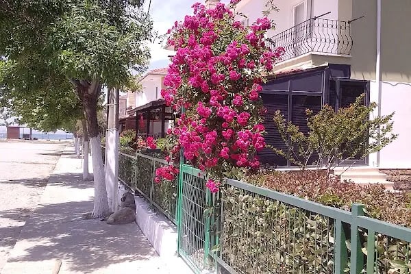 Edirneliler 7 Sitesi - Resim 11