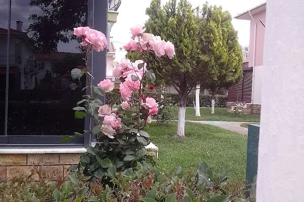 Edirneliler 7 Sitesi - Resim 10