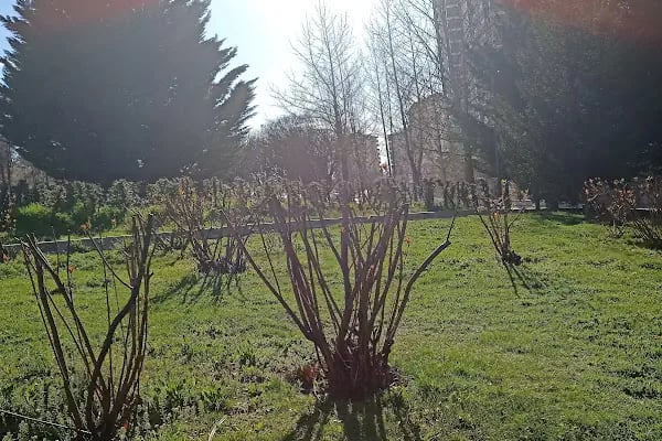 100.Yıl Parkı - Resim 14